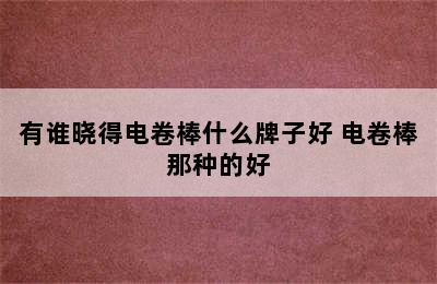 有谁晓得电卷棒什么牌子好 电卷棒那种的好